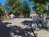 Rosenfest 2023