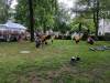 IMG_20170715_163427