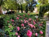 Der Rosengarten