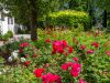 Der Rosengarten